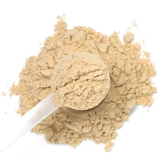 does protein powder make you lose weight