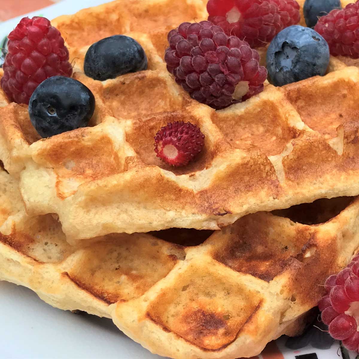 Protein Powder Waffle Recipe