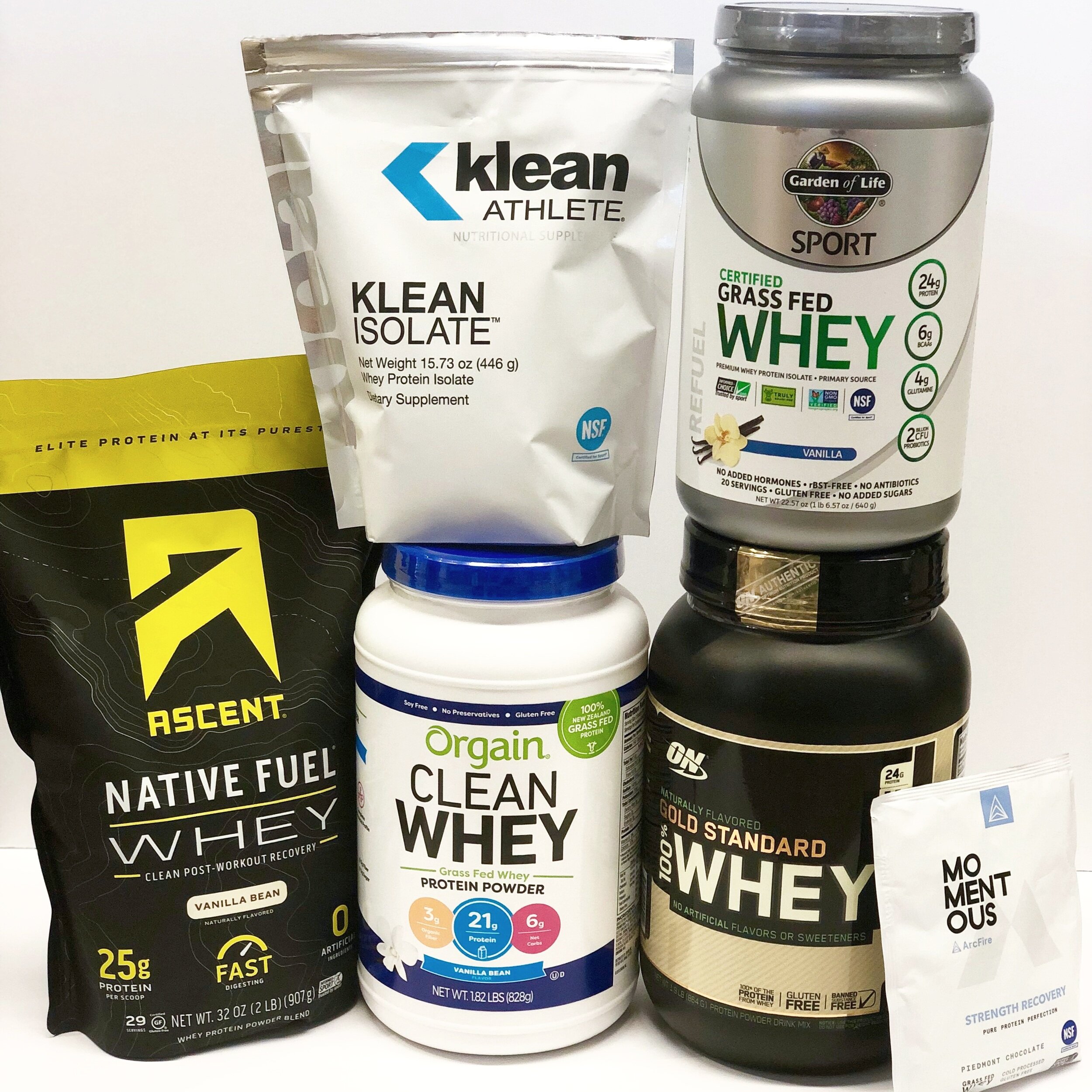 does protein powder make you lose weight